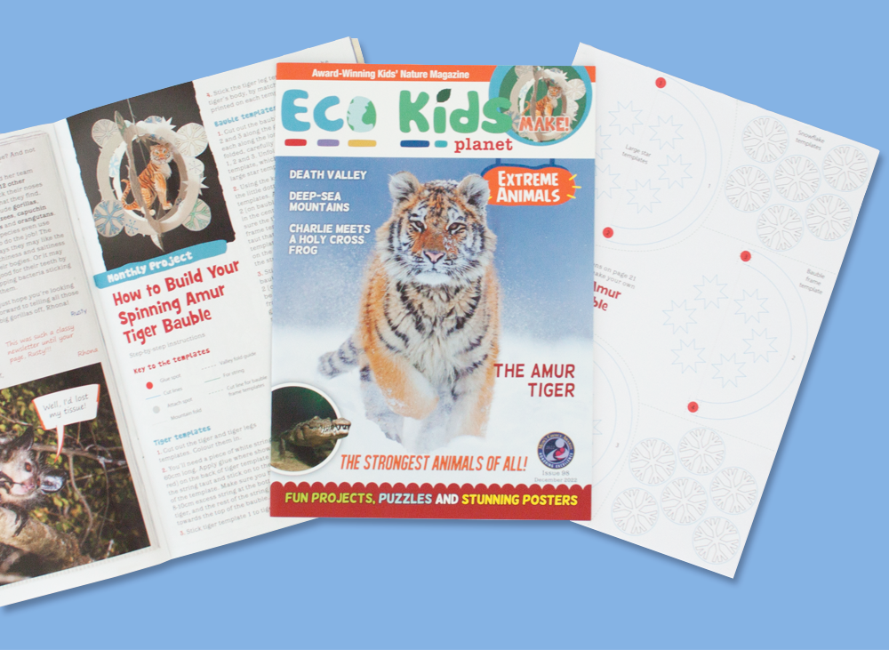 Amur tiger issue for Eco Kids Planet magazine