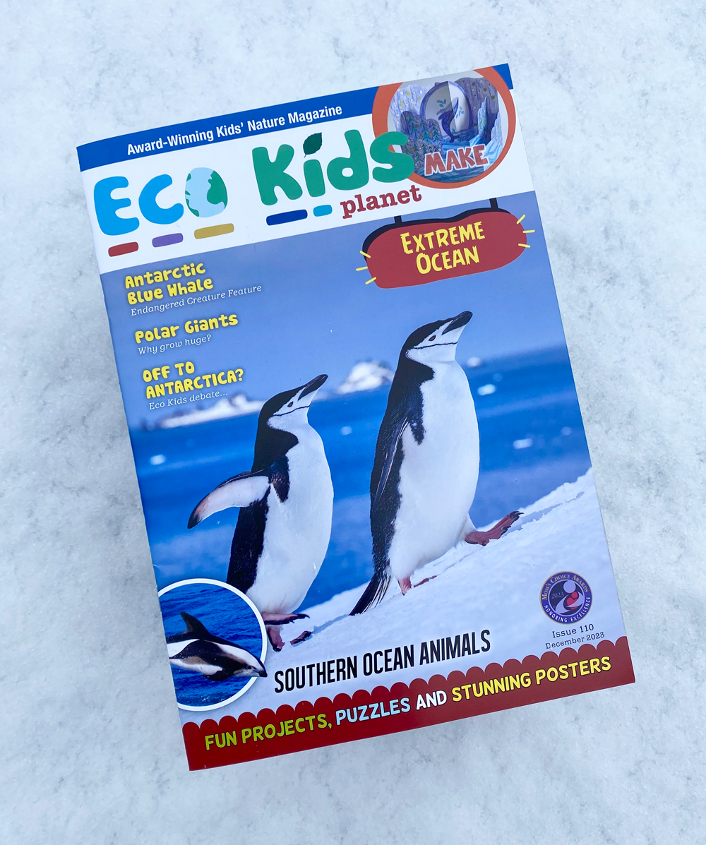 Eco Kids Planet magazine whale papercraft issue